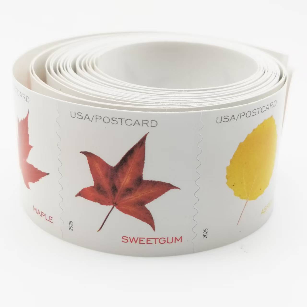 2025 Vibrant Leavea Postcard Rolls 100pcs