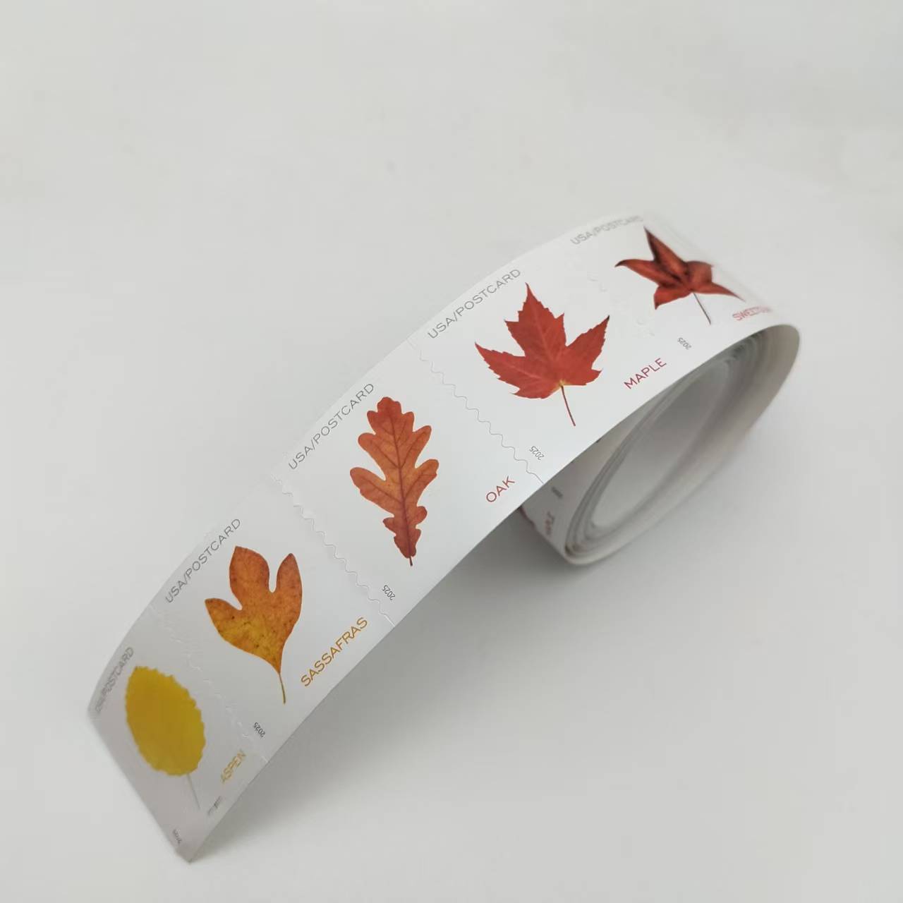 2025 Vibrant Leavea Postcard Rolls 100pcs