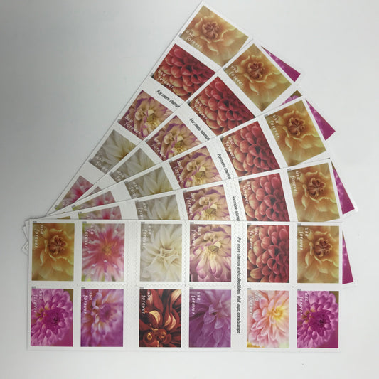 Dahlias Forever Stamps 100pcs