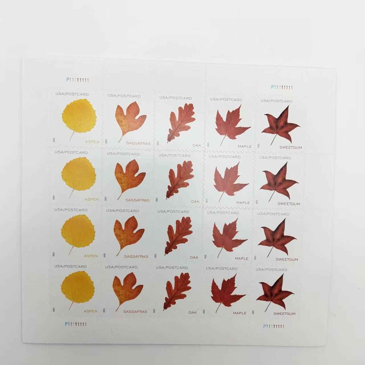 2025 Vibrant Leavea Postcard 100pcs