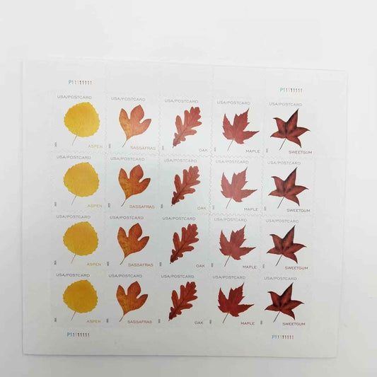 2025 Vibrant Leavea Postcard 100pcs