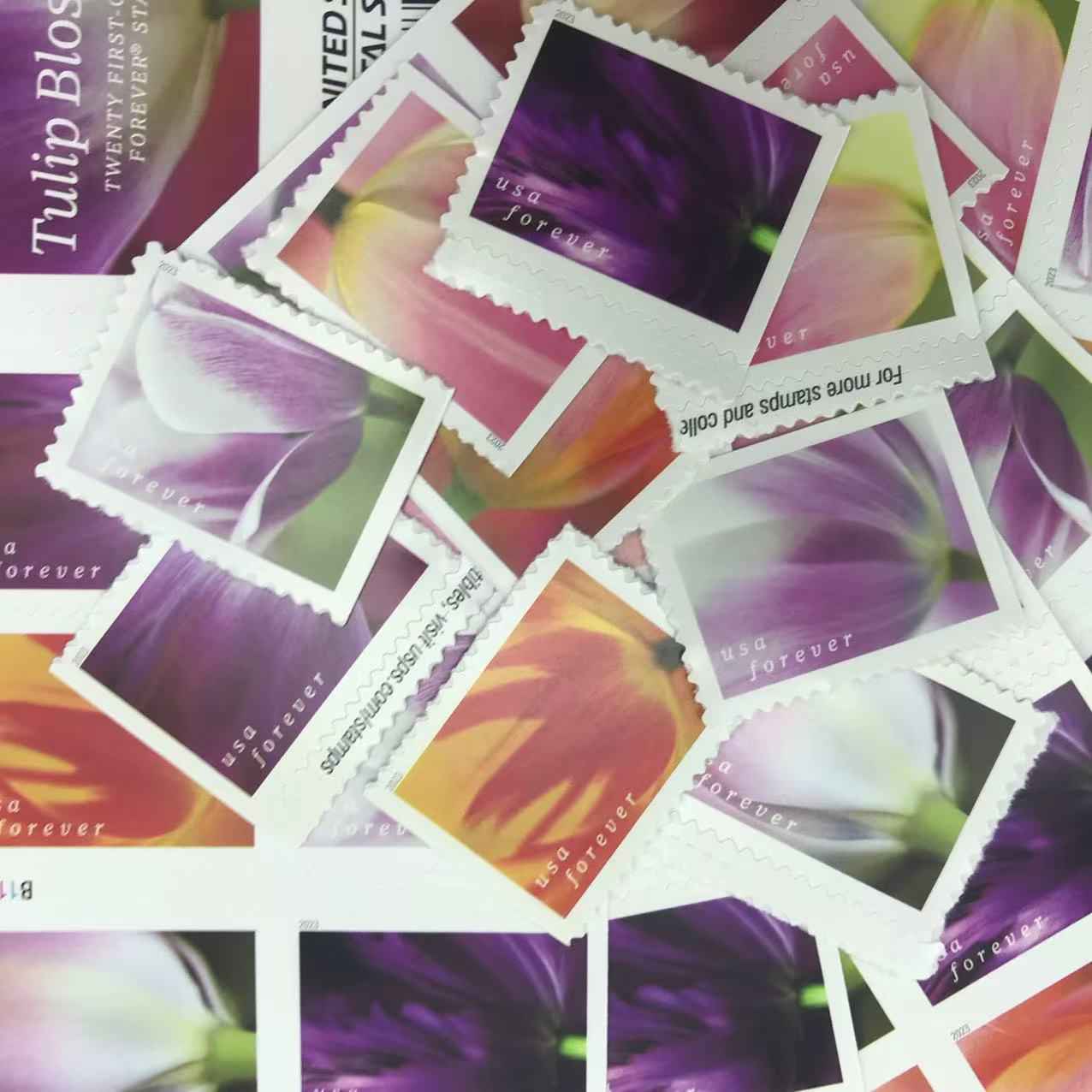 Tulips Blossom Forever Stamps 100pcs