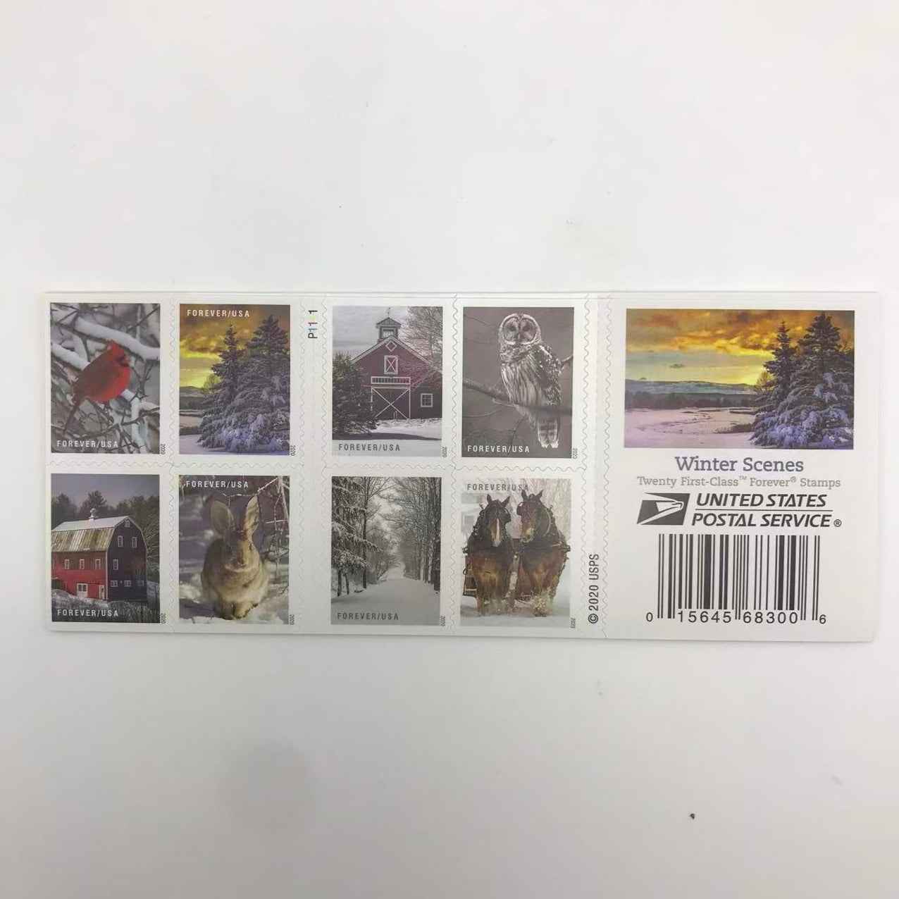 2020 Winter Scenes Forever Stamps 100pcs