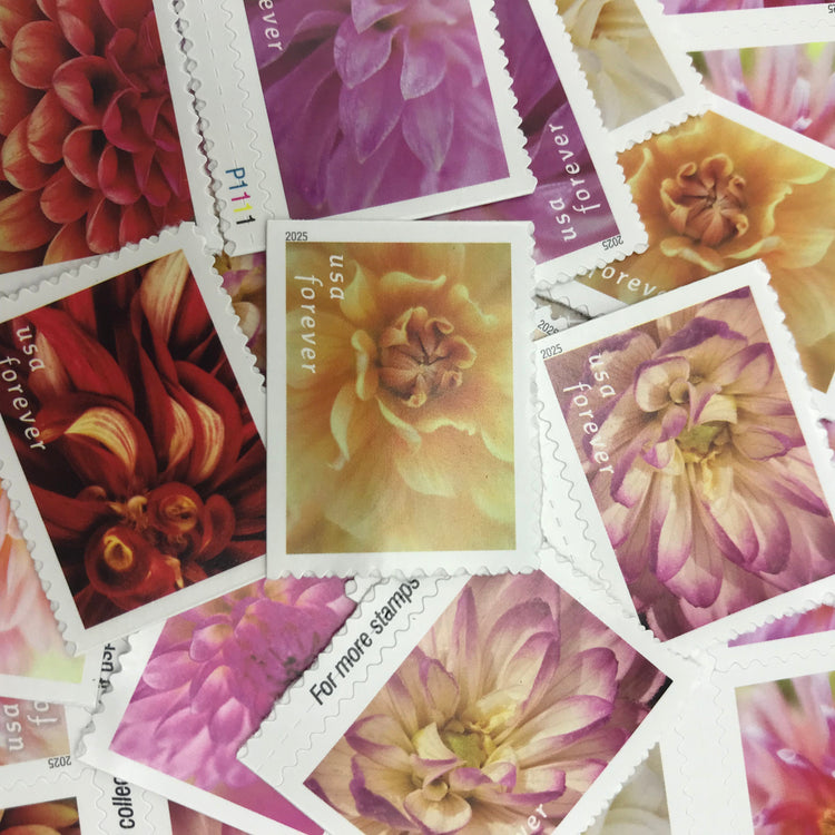 Dahlia flower postage stamp design from the Flower Stamps collection