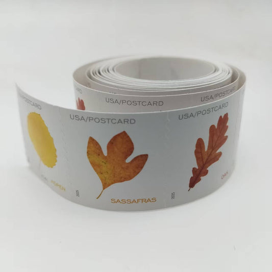 2025 Vibrant Leavea Postcard Rolls 100pcs