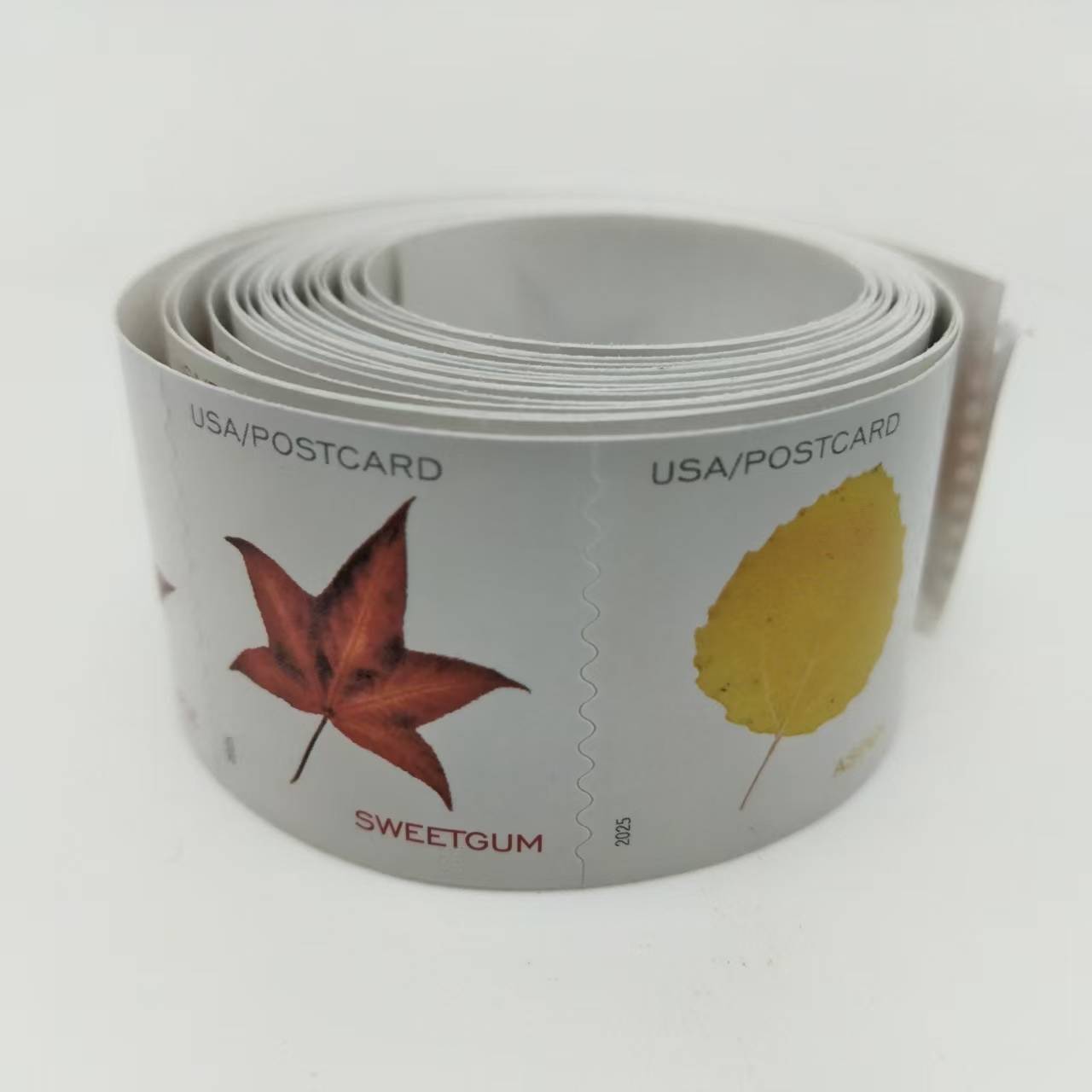 2025 Vibrant Leavea Postcard Rolls 100pcs