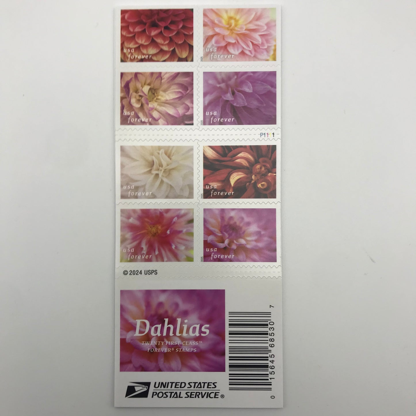 Dahlias Forever Stamps 100pcs