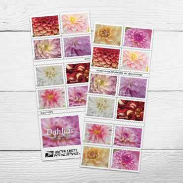 Dahlias Forever Stamps 100pcs