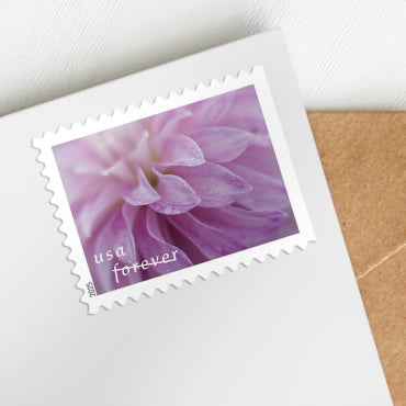 Dahlias Forever Stamps 100pcs