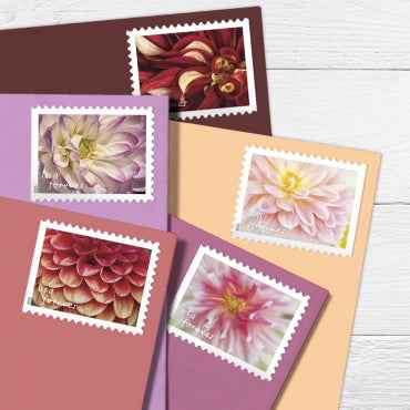 Dahlias Forever Stamps 100pcs