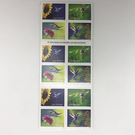 2024 Garden Delights Stamps Forever Stamps