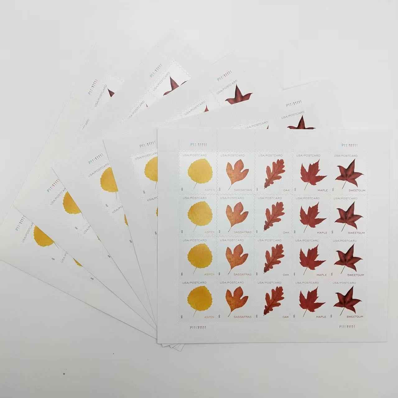 2025 Vibrant Leavea Postcard 100pcs