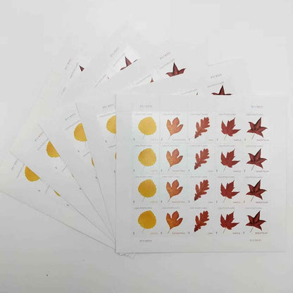 2025 Vibrant Leavea Postcard 100pcs