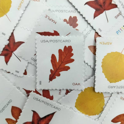 2025 Vibrant Leavea Postcard Rolls 100pcs