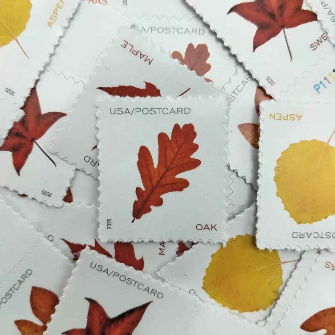 2025 Vibrant Leavea Postcard 100pcs