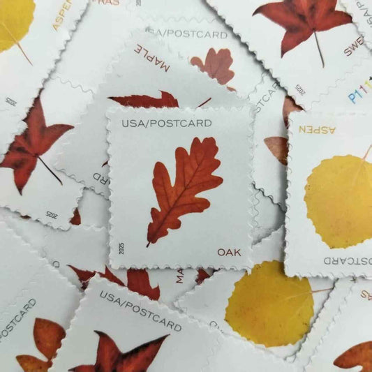 2025 Vibrant Leavea Postcard 100pcs