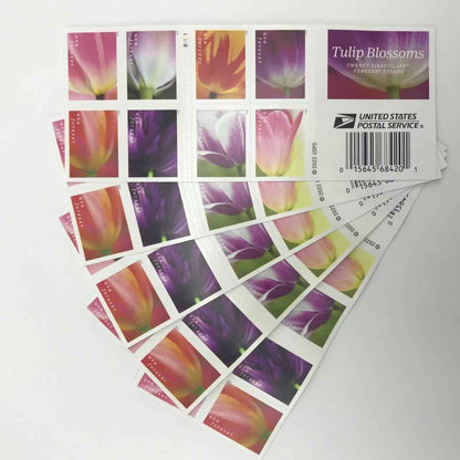 Tulips Blossom Forever Stamps 100pcs