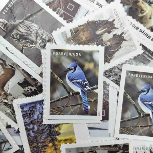 2020 Winter Scenes Forever Stamps 100pcs