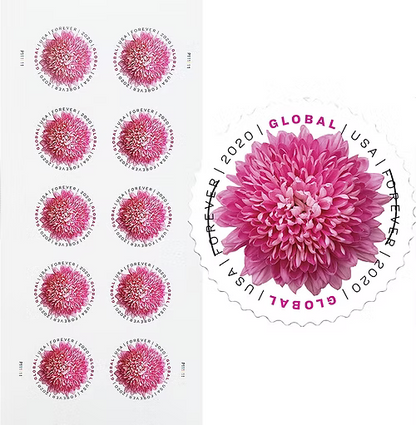 Global Chrysanthemum Stamps International 2020 (50pcs)
